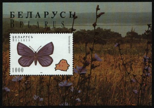 Belarus 1996 - Mi-Nr. Block 8 ** - MNH - Schmetterlinge / Butterflies