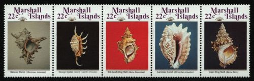 Marshall-Inseln 1986 - Mi-Nr. 87-91 ** - MNH - Meeresschnecken / Marine snails