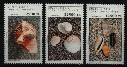 Türkisch Zypern 1994 - Mi-Nr. 387-389 ** - MNH - Meeresschnecken / Marine snails