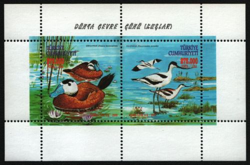 Türkei 2000 - Mi-Nr. Block 44 ** - MNH - Vögel / Birds