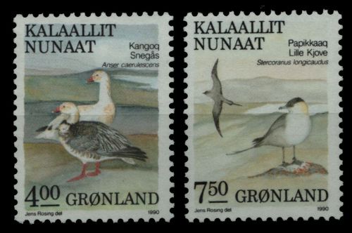 Grönland 1990 - Mi-Nr. 199-200 ** - MNH - Vögel / Birds