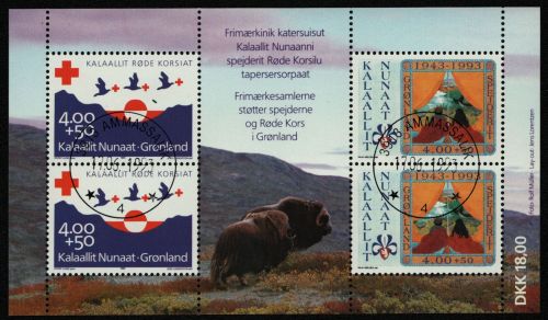 Grönland 1993 - Mi-Nr. Block 4 gest / used - Pfadfinder / Scouts & Rotes Kreuz