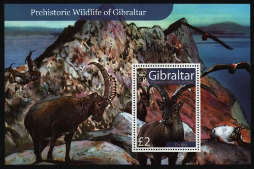 Gibraltar 2007 - Mi-Nr. Block 80 ** - MNH - Fauna