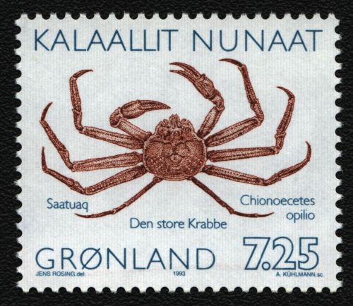 Grönland 1993 - Mi-Nr. 232 II ** - MNH - Krabben / Crabs