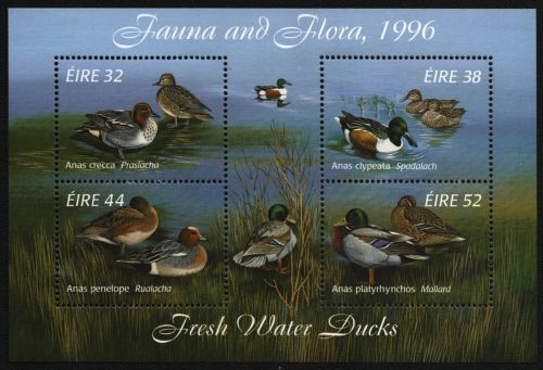 Irland 1996 - Mi-Nr. Block 20 ** - MNH - Enten / Ducks