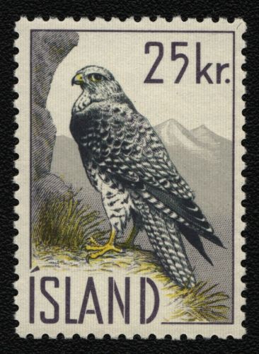 Island 1960 - Mi-Nr. 389 ** - MNH - Vögel / Birds
