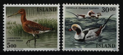 Island 1988 - Mi-Nr. 691-693 ** - MNH - Vögel / Birds