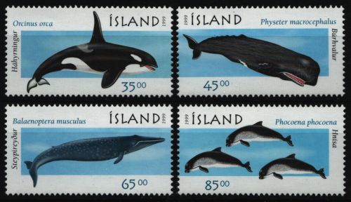 Island 1999 - Mi-Nr. 905-908 ** - MNH - Wale / Whales