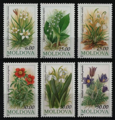 Moldawien 1993 - Mi-Nr. 81-86 ** - MNH - Blumen / Flowers