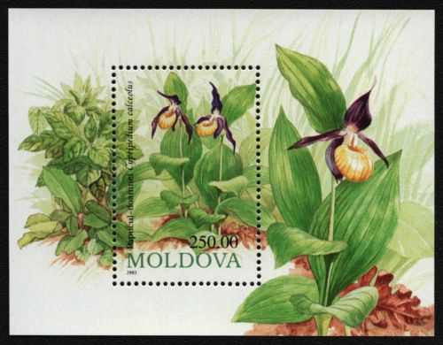 Moldawien 1993 - Mi-Nr. Block 4 ** - MNH - Blumen / Flowers