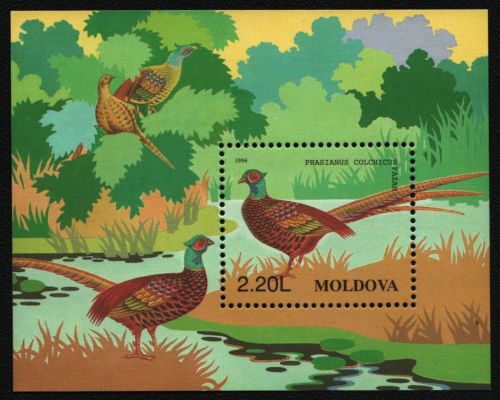 Moldawien 1996 - Mi-Nr. Block 8 ** - MNH - Vögel / Birds