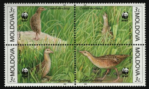 Moldawien 2001 - Mi-Nr. 379-382 ** - MNH - Vögel / Birds