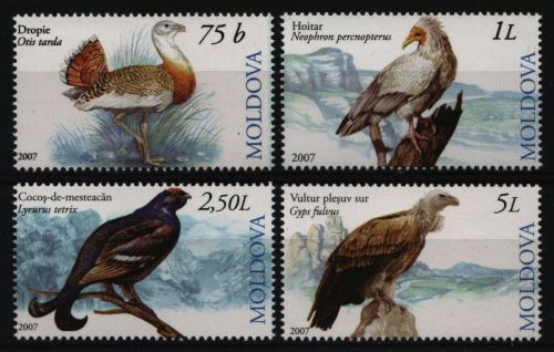 Moldawien 2007 - Mi-Nr. 590-593 ** - MNH - Vögel / Birds