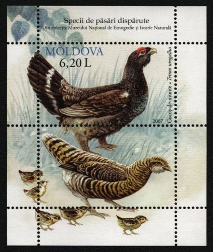 Moldawien 2007 - Mi-Nr. Block 37 ** - MNH - Vögel / Birds