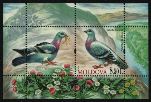 Moldawien 2010 - Mi-Nr. Block 50 ** - MNH - Vögel / Birds