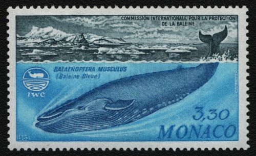 Monaco 1983 - Mi-Nr. 1584 ** - MNH - Wale / Whales