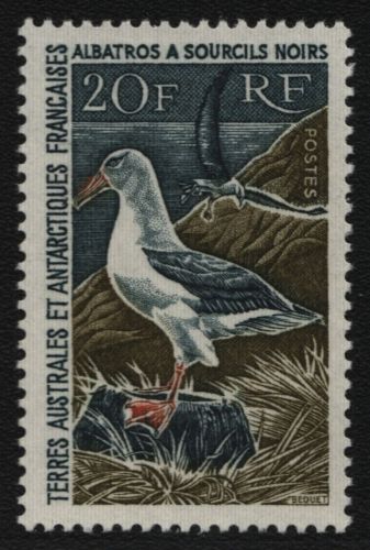TAAF 1968 - Mi-Nr. 41 ** - MNH - Albatros (I)