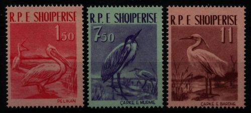Albanien 1961 - Mi-Nr. 630-632 ** - MNH - Vögel / Birds
