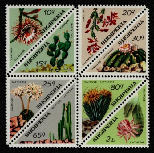 Albanien 1973 - Mi-Nr. 1612-1619 ** - MNH - ZDR - Kaktus / Cactus