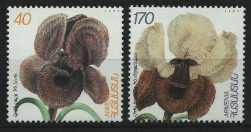 Armenien 1997 - Mi-Nr. 320-321 ** - MNH - Pflanzen / Plants