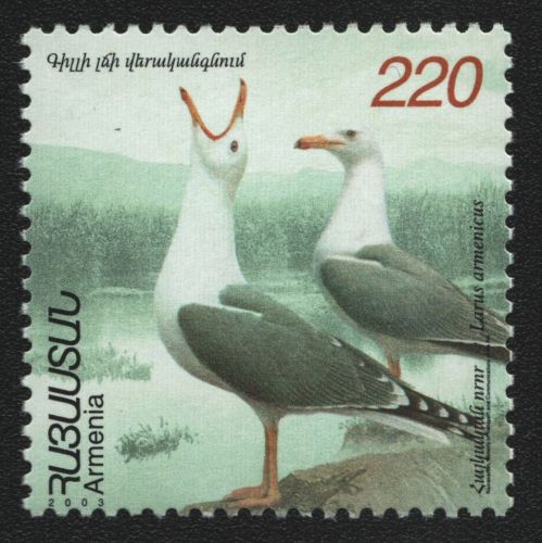 Armenien 2003 - Mi-Nr. 480 ** - MNH - Vögel / Birds