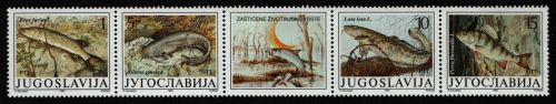 Jugoslawien 1990 - Mi-Nr. 2405-2408 ** - MNH - Fische / Fish
