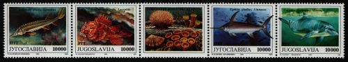 Jugoslawien 1993 - Mi-Nr. 2589-2592 ** - MNH - Meeresleben / Marine life