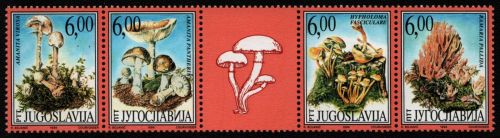 Jugoslawien 1999 - Mi-Nr. 2914-2917 ** - MNH - Pilze / Mushrooms