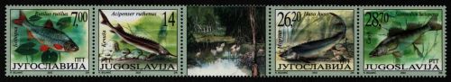 Jugoslawien 2002 - Mi-Nr. 3072-3075 ** - MNH - Streifen - Fische / Fish