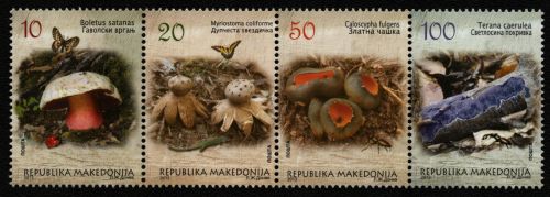 Makedonien 2013 - Mi-Nr. 671-674 ** - MNH - Schmetterlinge - Pilze
