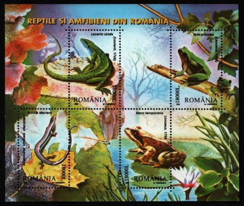 Rumänien 2003 - Mi-Nr. Block 334 ** - MNH - Reptilien & Amphibien