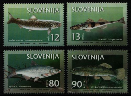 Slowenien 1997 - Mi-Nr. 178-181 ** - MNH - Fische / Fish