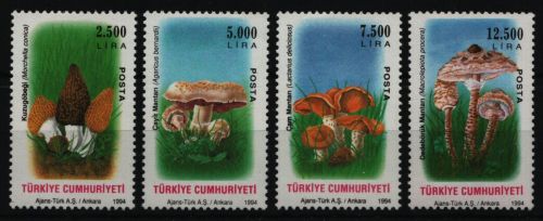 Türkei 1994 - Mi-Nr. 3032-3035 ** - MNH - Pilze / Mushrooms