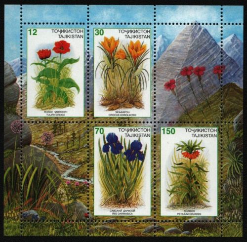 Tadschikistan 1998 - Mi-Nr. 128-131 ** - MNH - KLB - Blumen / Flowers