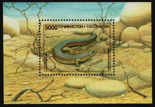 Tadschikistan 1995 - Mi-Nr. Block 4 ** - MNH - Reptilien / Reptiles