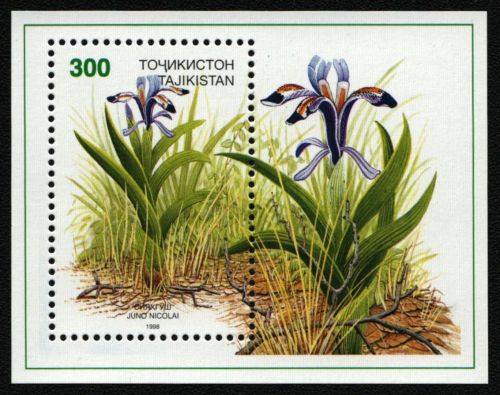 Tadschikistan 1998 - Mi-Nr. Block 12 ** - MNH - Blumen / Flowers