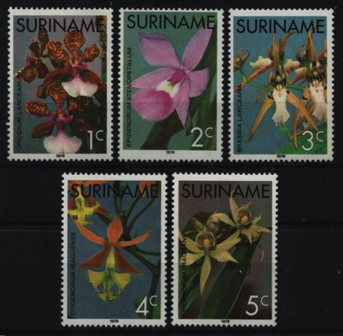 Surinam 1976 - Mi-Nr. 710-714 ** - MNH - Orchideen / Orchids