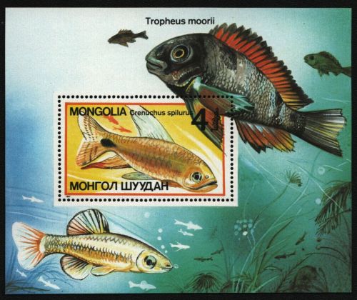 Mongolei 1987 - Mi-Nr. Block 118 ** - MNH - Fische / Fish