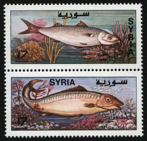 Syrien 1997 - Mi-Nr. 1988-1989 ** - MNH - Fische / Fish