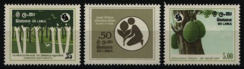 Sri Lanka 1981 - Mi-Nr. 567-569 ** - MNH - Pflanzen / Plants