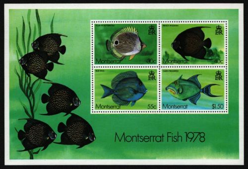 Montserrat 1978 - Mi-Nr. Block 15 ** - MNH - Fische / Fish
