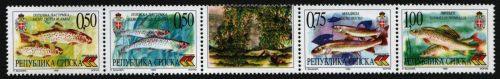 Serbische Republik 1999 - Mi-Nr. 135-138 ** - MNH - Fische / Fish