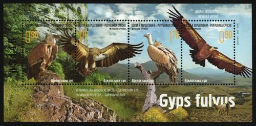 Serbische Republik 2016 - Mi-Nr. Block 34 ** - MNH - Vögel / Birds