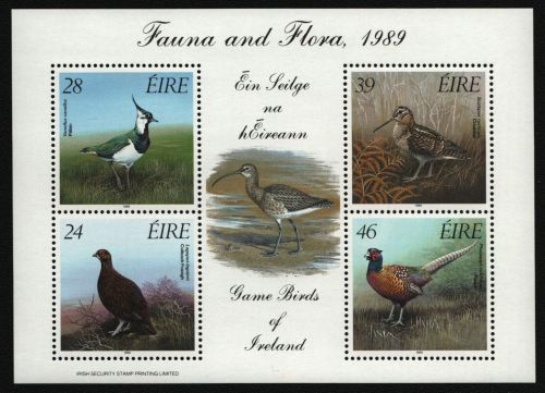 Irland 1989 - Mi-Nr. Block 7 ** - MNH - Vögel / Birds