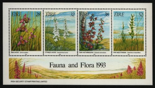 Irland 1993 - Mi-Nr. Block 10 I ** - MNH - Blumen / Flowers