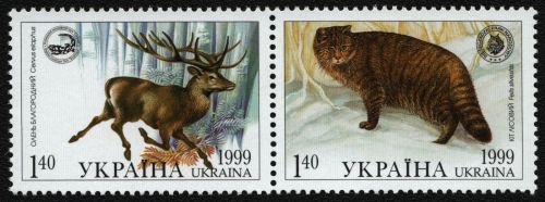 Ukraine 1999 - Mi-Nr. 321-322 ** - MNH - Paar - Wildtiere / Wild animals