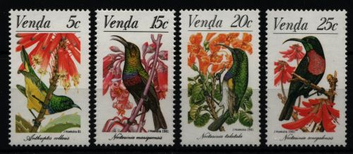 Venda 1981 - Mi-Nr. 38-41 ** - MNH - Vögel / Birds