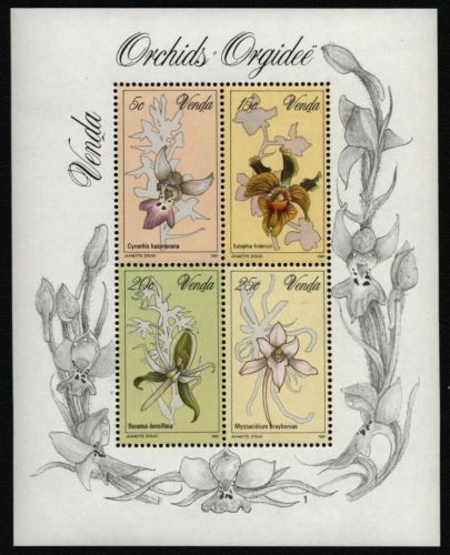 Venda 1981 - Mi-Nr. Block 1 ** - MNH - Orchideen / Orchids