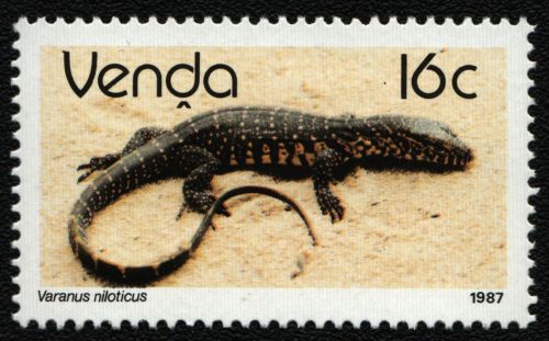 Venda 1987 - Mi-Nr. 154 ** - MNH - Reptilien / Reptiles