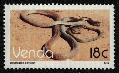 Venda 1989 - Mi-Nr. 195 ** - MNH - Reptilien / Reptiles
